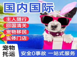 成吉思汗空运公司国际宠物托运 【国